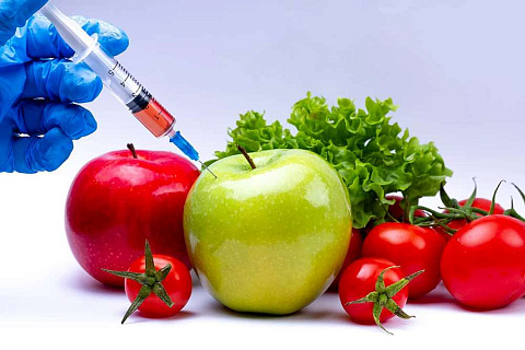 Требования нормативной документации к содержанию ГМО по видам продукции
