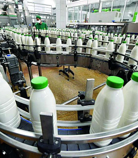 Рейтинги крупнейших молочных компаний Беларуси и России
