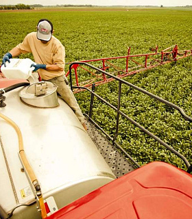 Хлорорганические пестициды - скрытая угроза традиционного сельского хозяйства прошлого